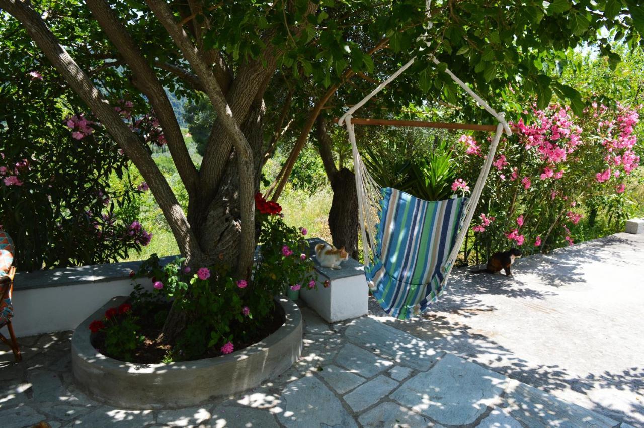 Alikias Country House Panormos  Kültér fotó