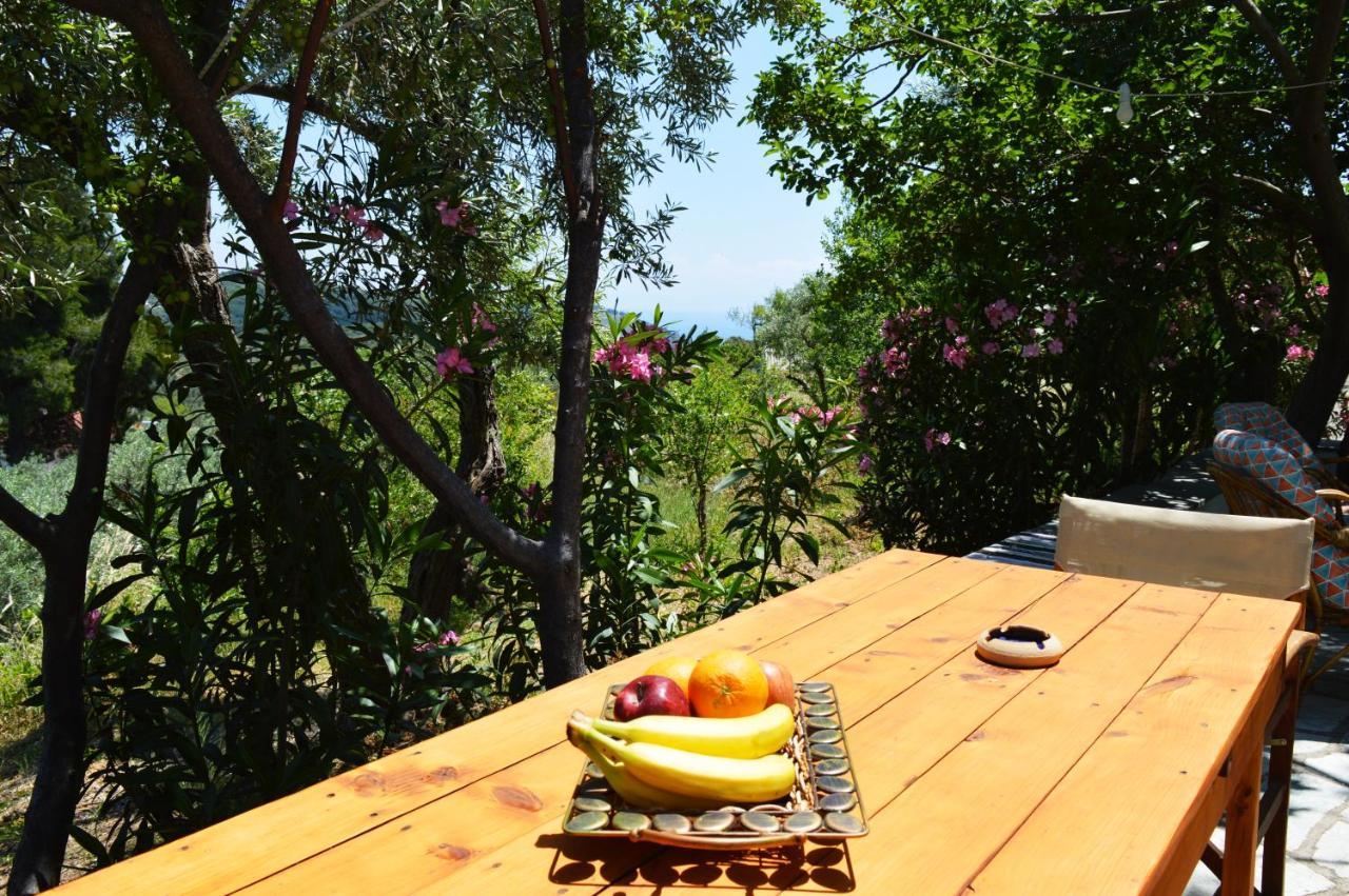 Alikias Country House Panormos  Kültér fotó