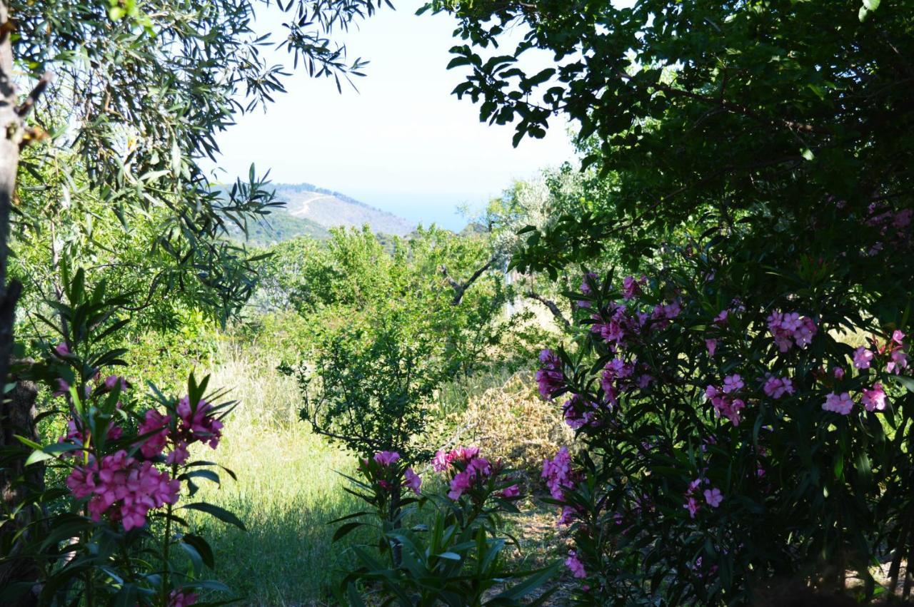 Alikias Country House Panormos  Kültér fotó