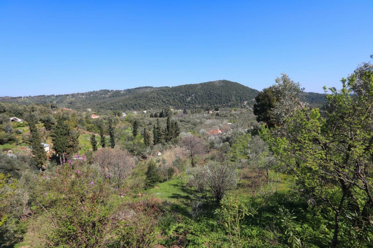 Alikias Country House Panormos  Kültér fotó