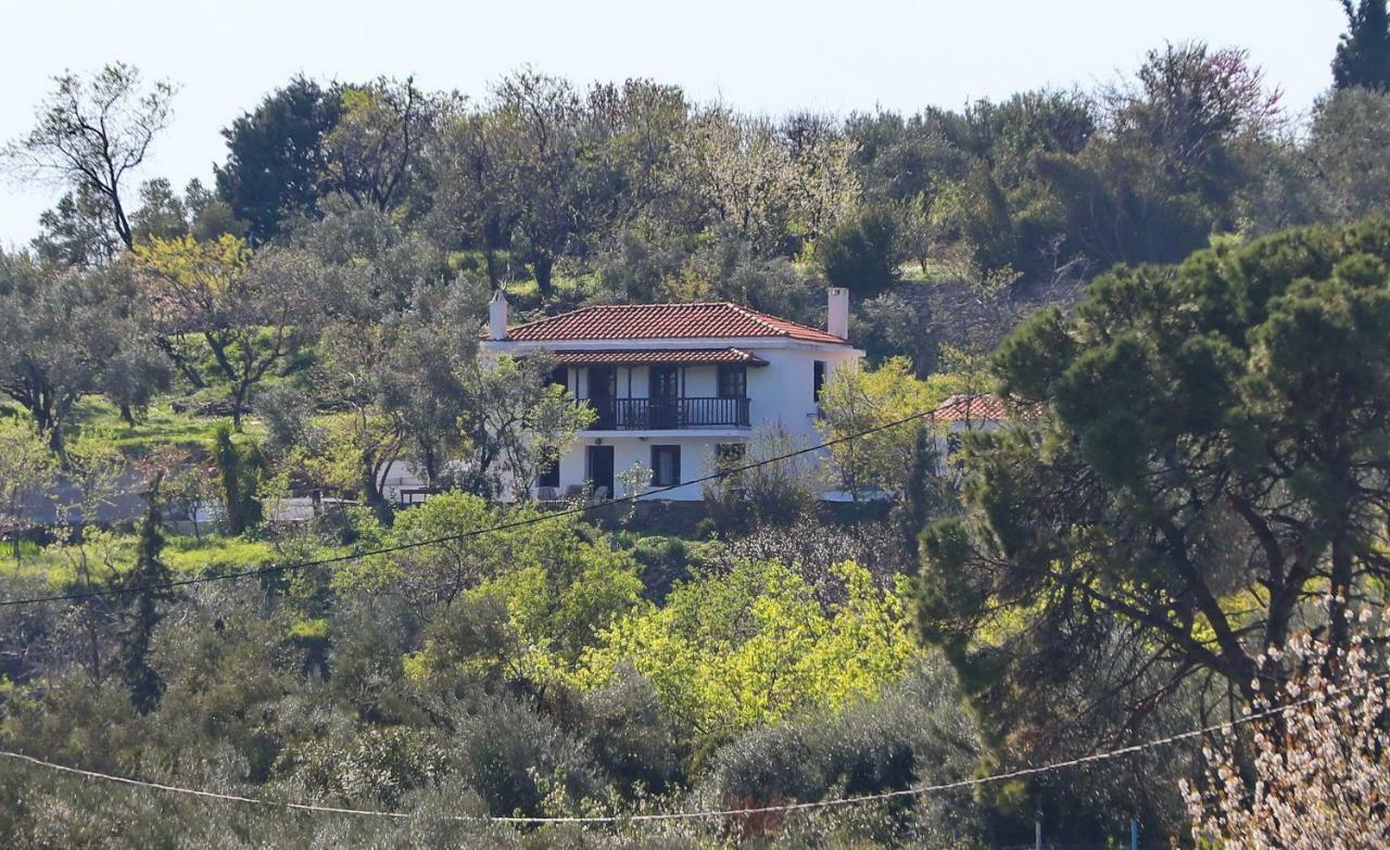 Alikias Country House Panormos  Kültér fotó
